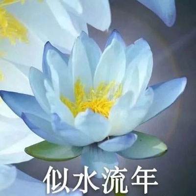 数学大冒险游戏下载