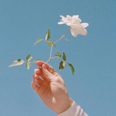 光明世纪最新版下载